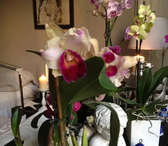 Piazza Italia Bed & Breakfast Sestri Levante